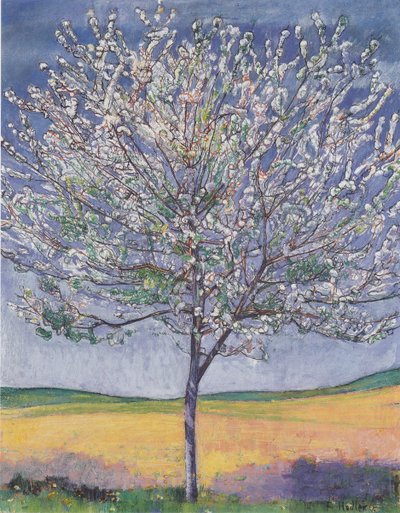 Cerisier en fleurs - Ferdinand Hodler